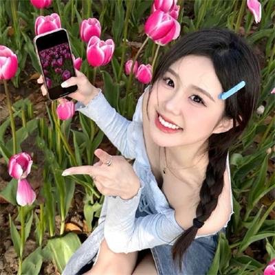 国际啄木鸟