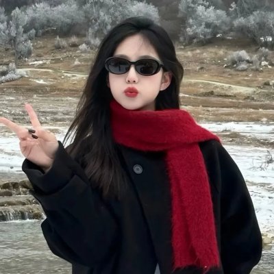 公仆2
